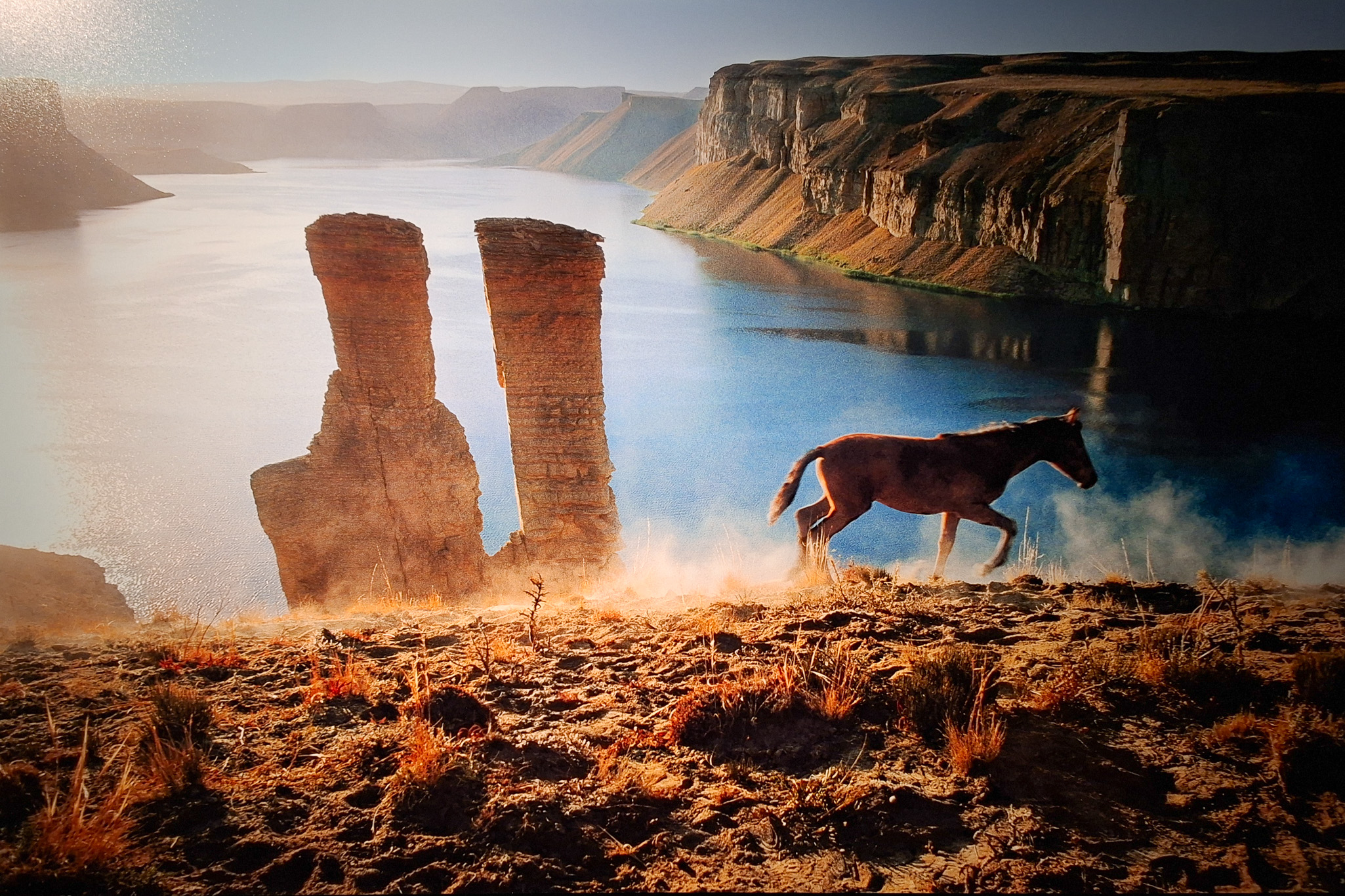 Móvil 20260613 Steve McCurry 137